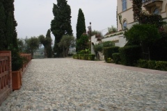 selva2-3