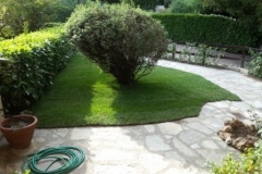 aaaa
